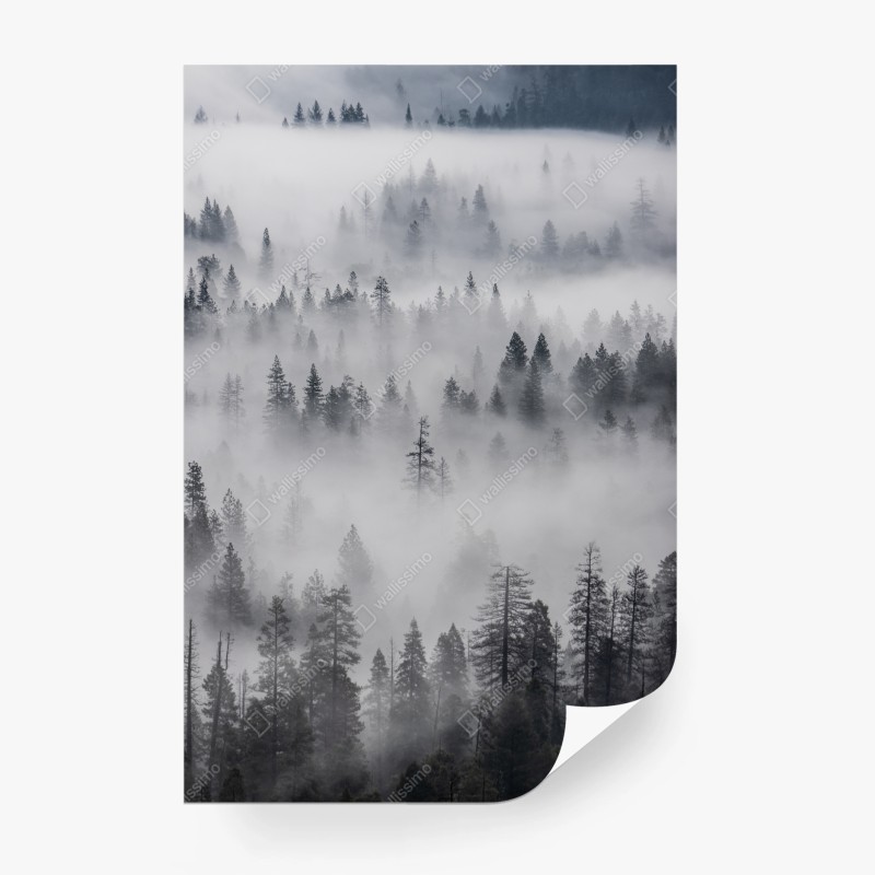 Fototapete pastelliges botanisches blumenmuster – Wallnifity®