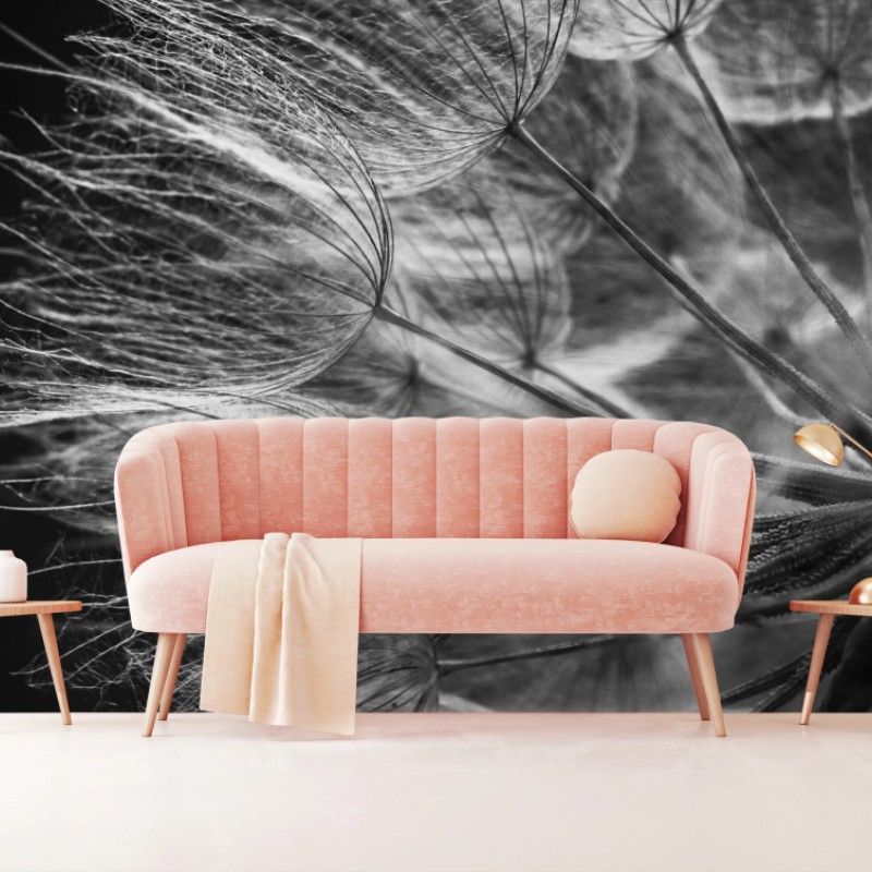 Fototapete zarter löwenzahn in monochrom – Wallnifity®