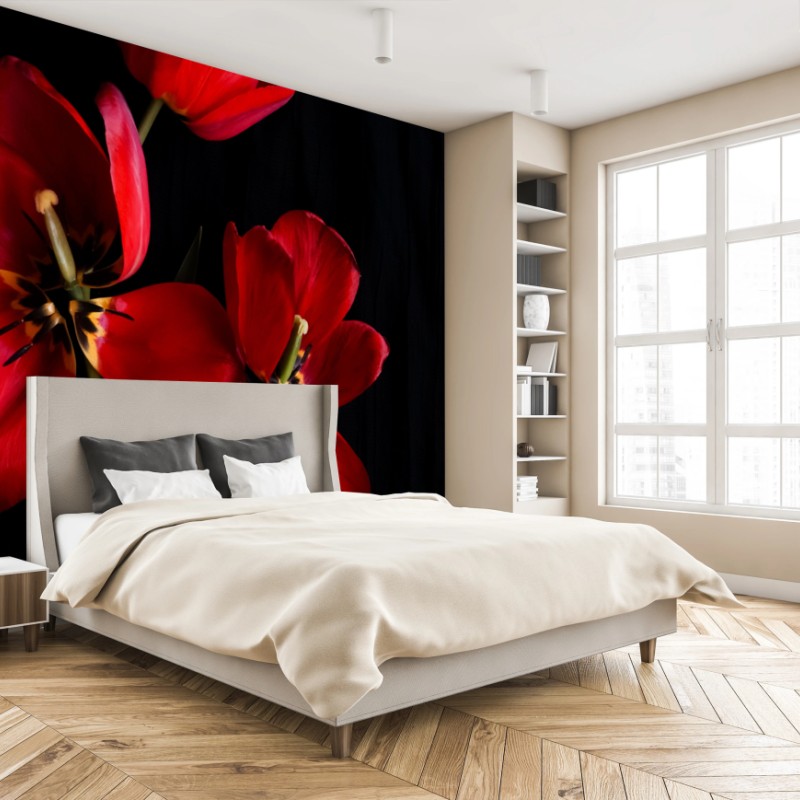 Fototapete drei rote tulpen vor schwarzem hintergrund – Wallnifity®