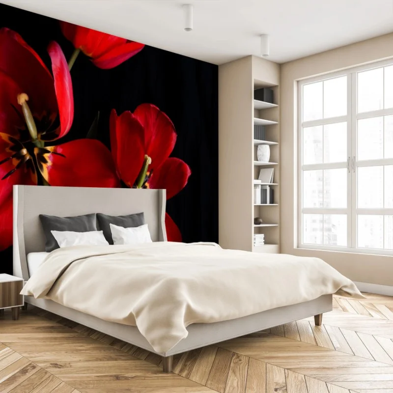 Fototapete drei rote tulpen vor schwarzem hintergrund – Wallnifity®