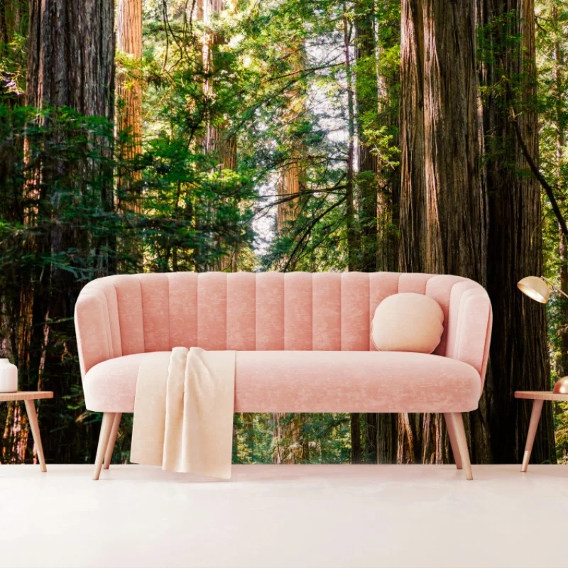 Fototapete majestätischer weg im sekwoienwald – Wallnifity®