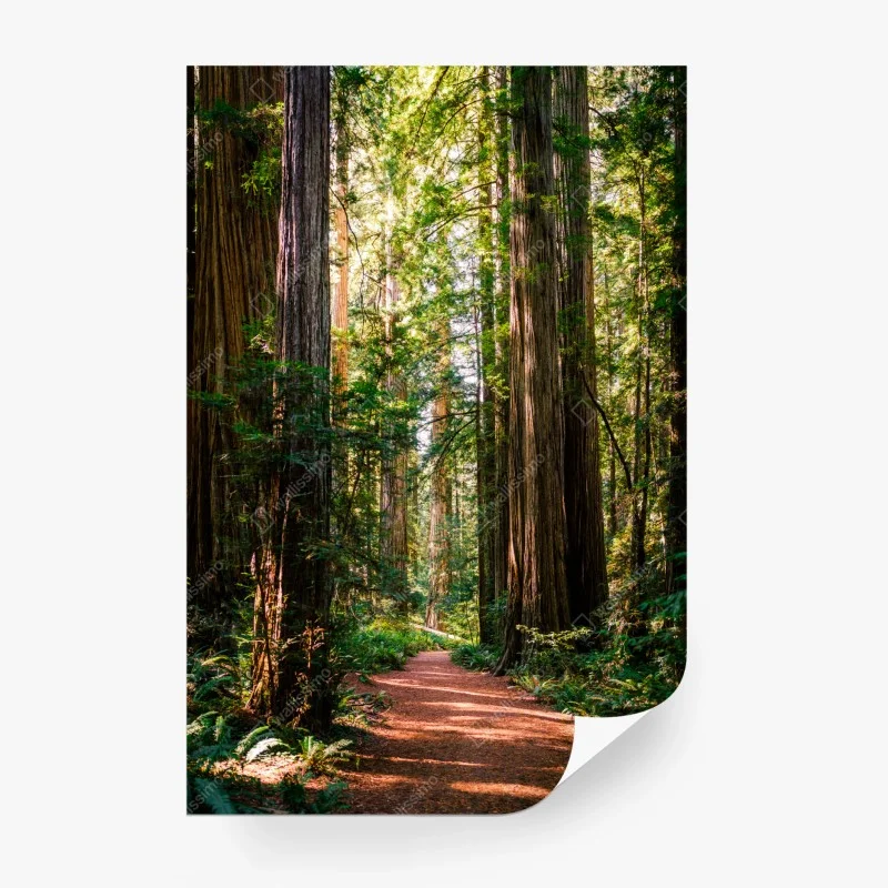 Fototapete Dubrovnik altstadt bei sonnenuntergang – Wallnifity®