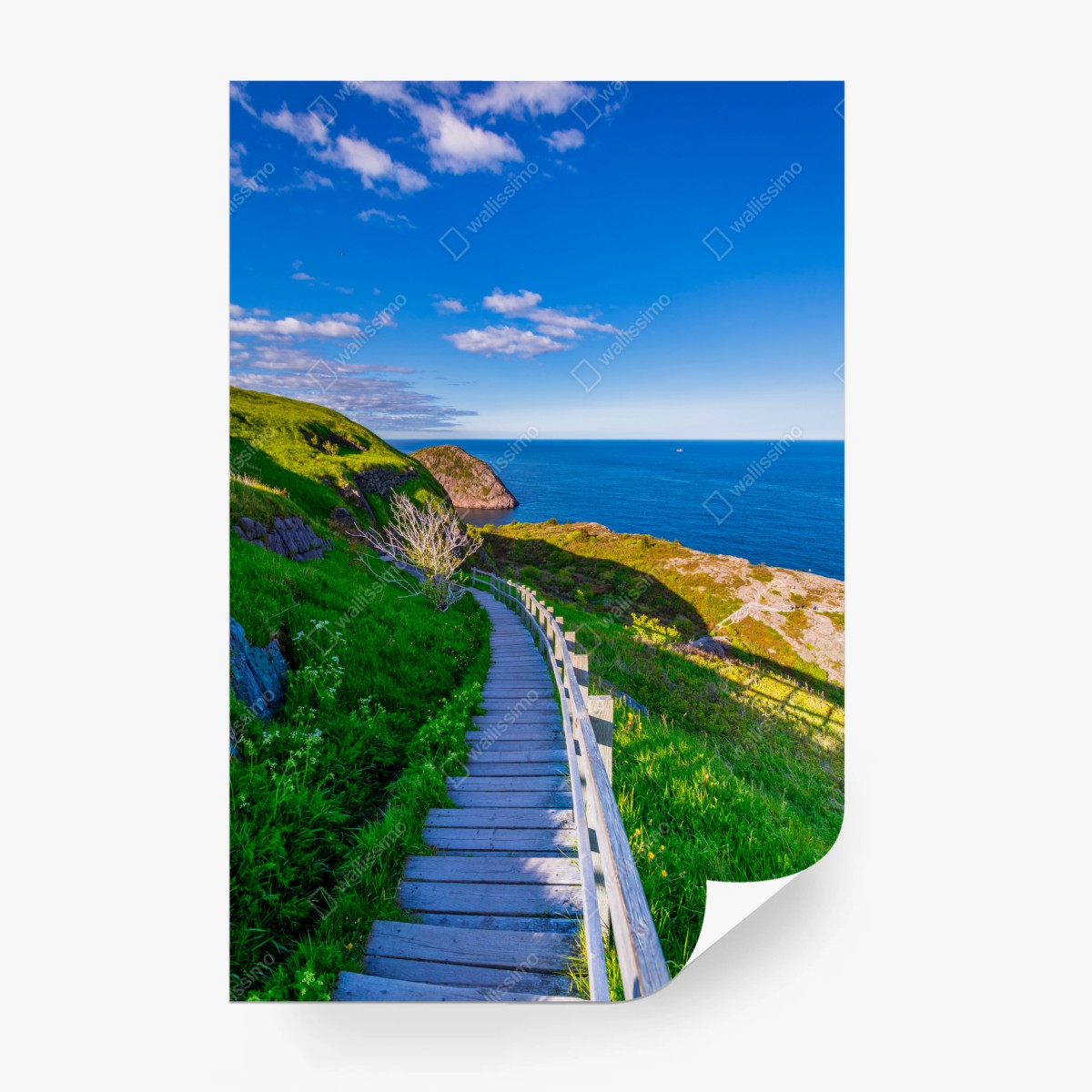 Fototapete küstenpfad mit blick auf das meer – Wallnifity®