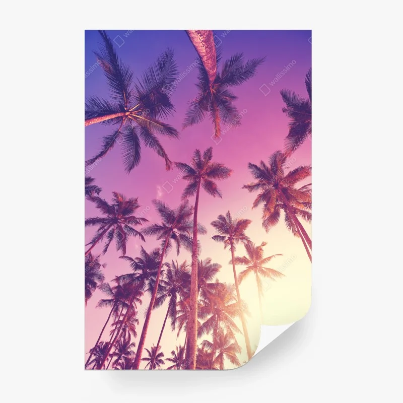 Fototapete rosa bonbonspirale – Wallnifity®