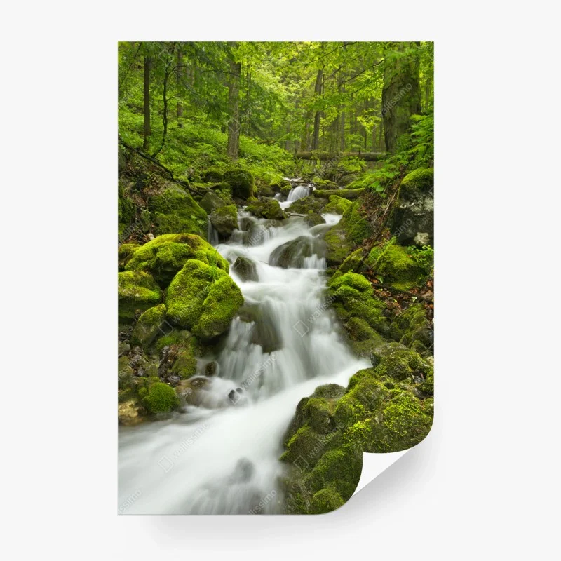 Fototapete – Wallnifity®
