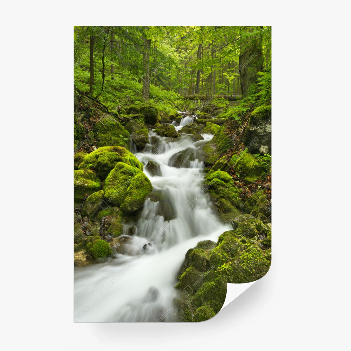 Fototapete moosiger wasserfall – Wallnifity®