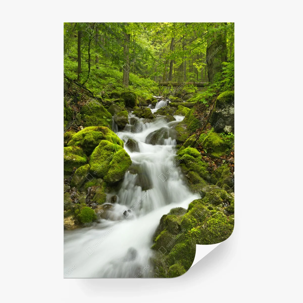 Fototapete moosiger wasserfall – Wallnifity® Fototapete moosiger wasserfall – Wallnifity®