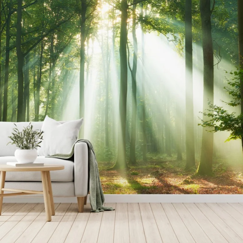 Fototapete morgendliches licht im wald