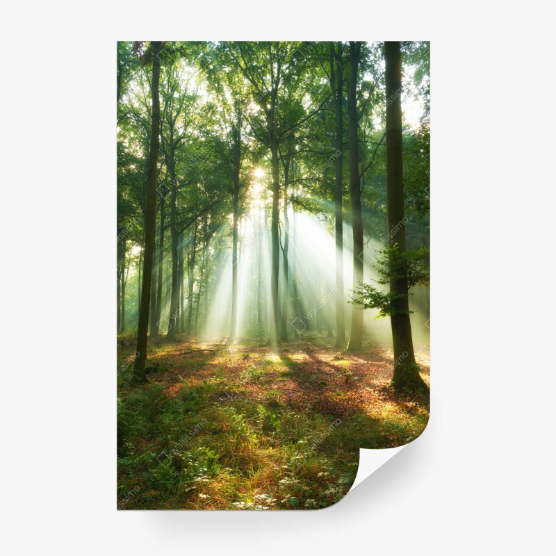 Fototapete Rotterdam Erasmusbrücke bei dämmerung – Wallnifity®