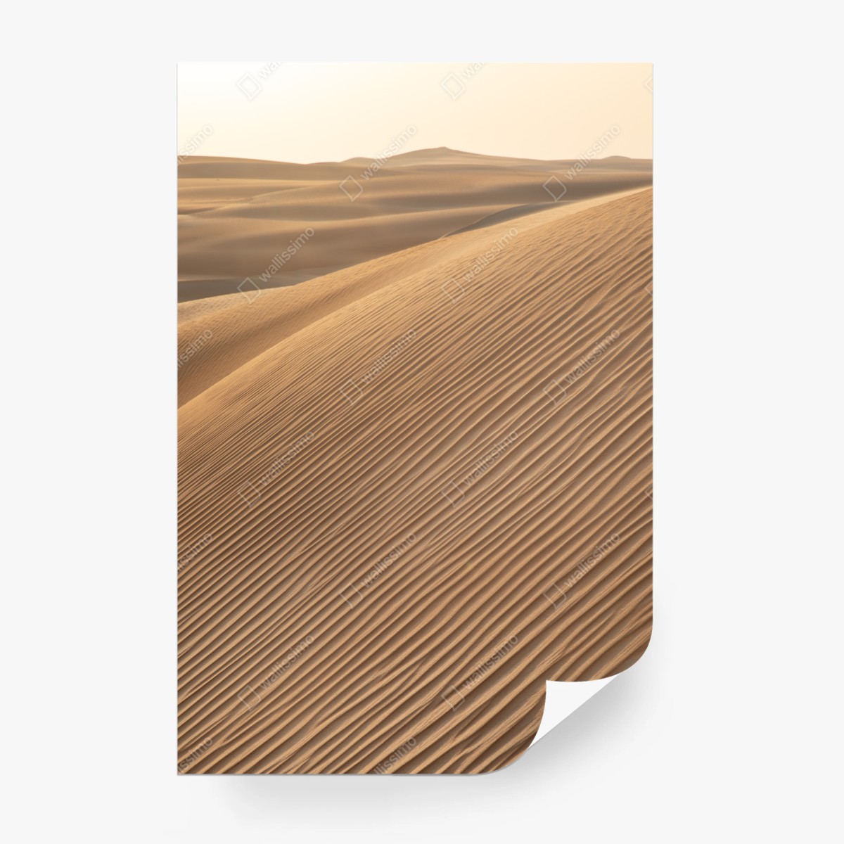 Fototapete goldene sanddünen minimalistisches landschaftsbild – Wallnifity®