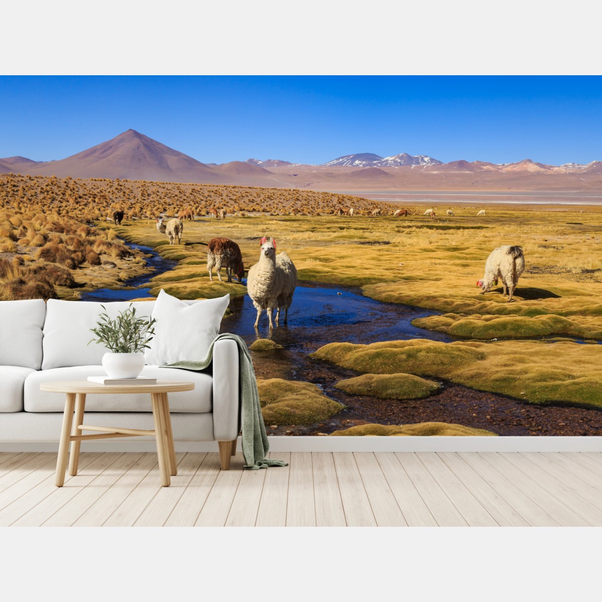 Fototapete lama auf dem altiplano der Anden – Wallnifity®