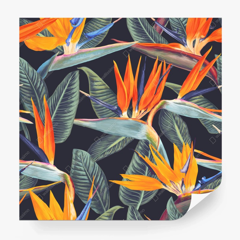 Fototapete tropisches muster mit strelitzien – Wallnifity®