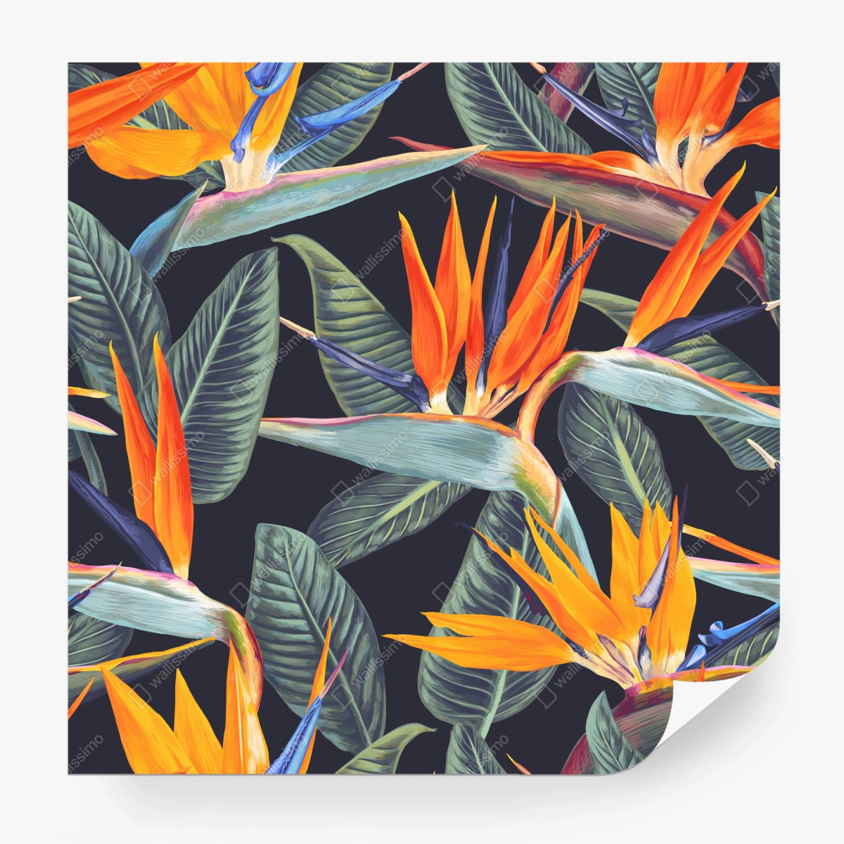 Fototapete tropisches muster mit strelitzien – Wallnifity®