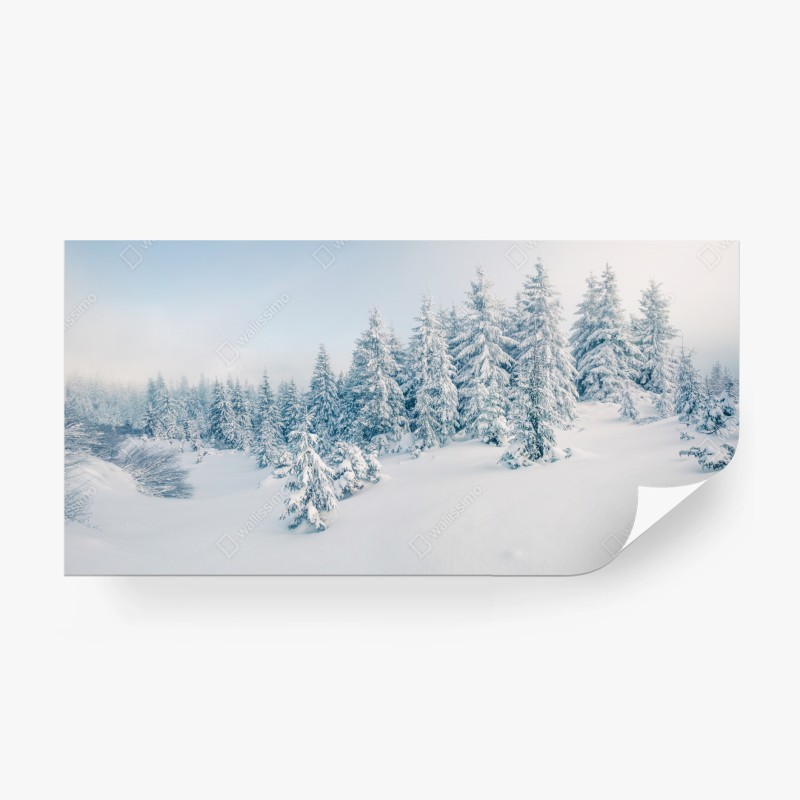 Fototapete gelbe strelitzie auf blauen blättern – Wallnifity®