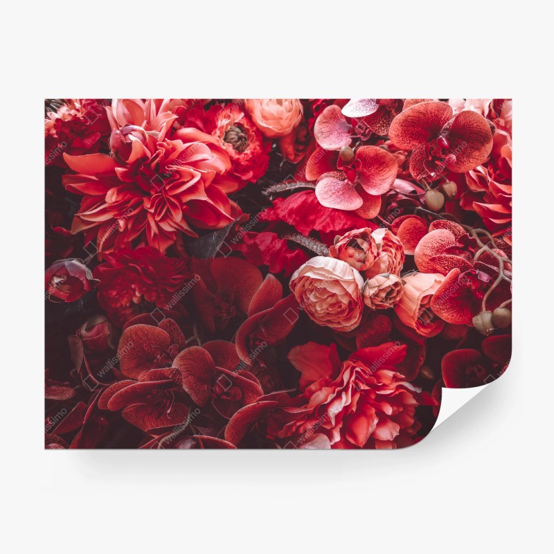 Fototapete tropisches kakadu-blumenmuster – Wallnifity®