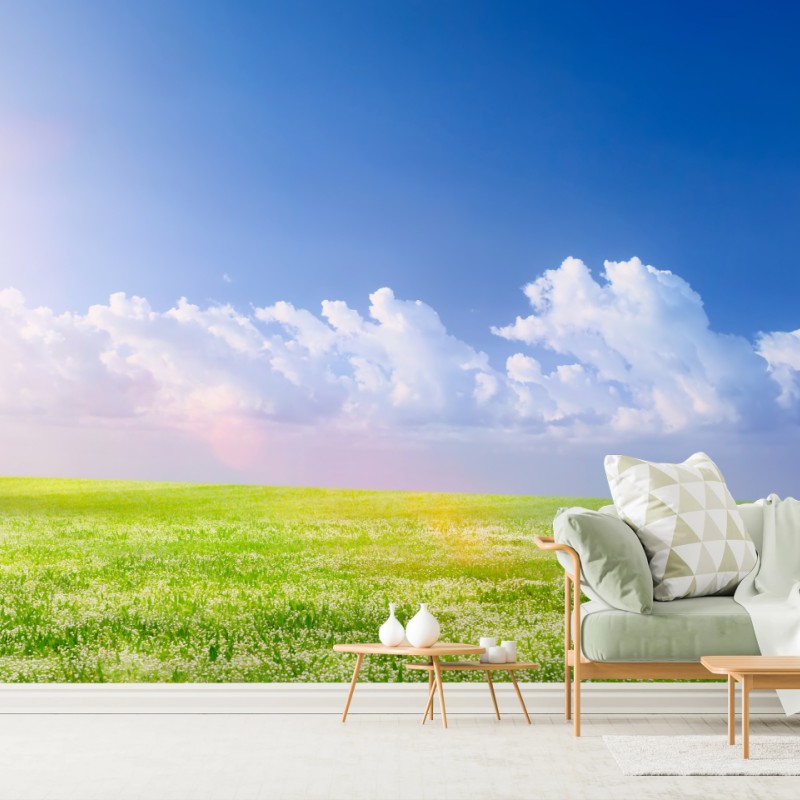 Fototapete sonnige frühlingswiese unter blauem himmel – Wallnifity®