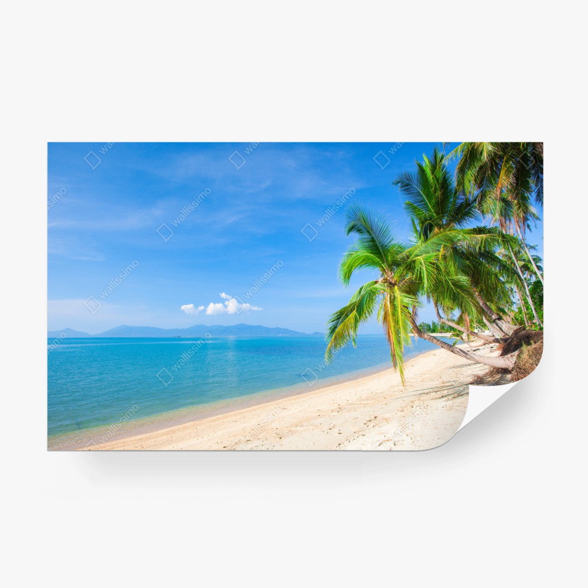 Fototapete tropischer palmenstrand – Wallnifity®