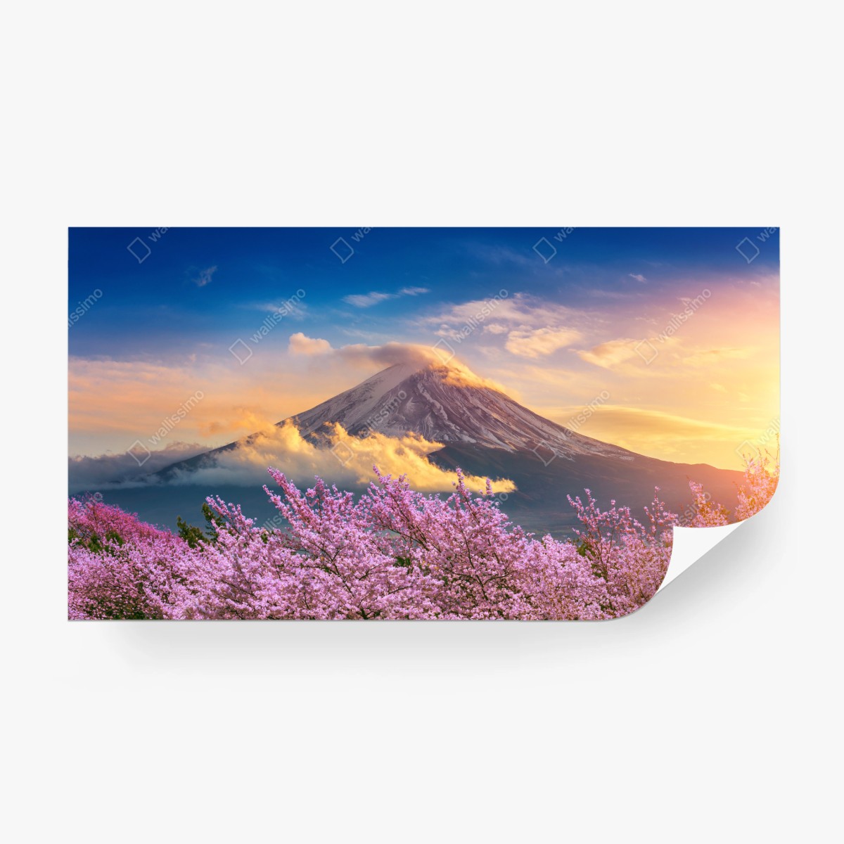 Fototapete Berg Fuji mit blühenden kirschblüten bei sonnenaufgang – Wallnifity®