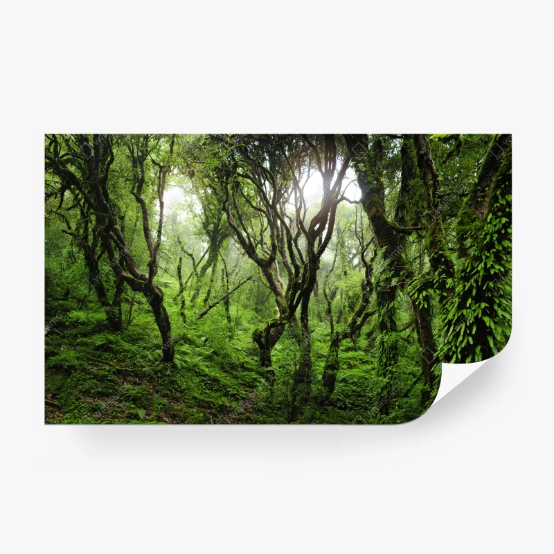 Fototapete rosa herzen schachbrettmuster – Wallnifity®