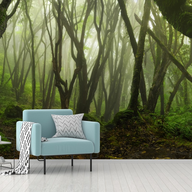 Fototapete nebliger grüner waldpfad – Wallnifity®