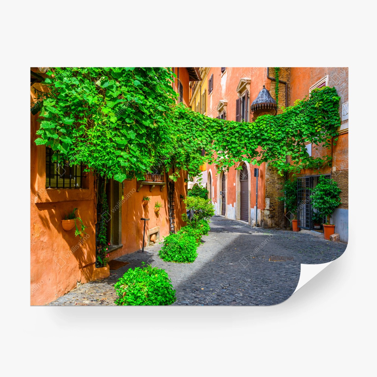 Fototapete malerische gasse in Trastevere, Rom – Wallnifity®
