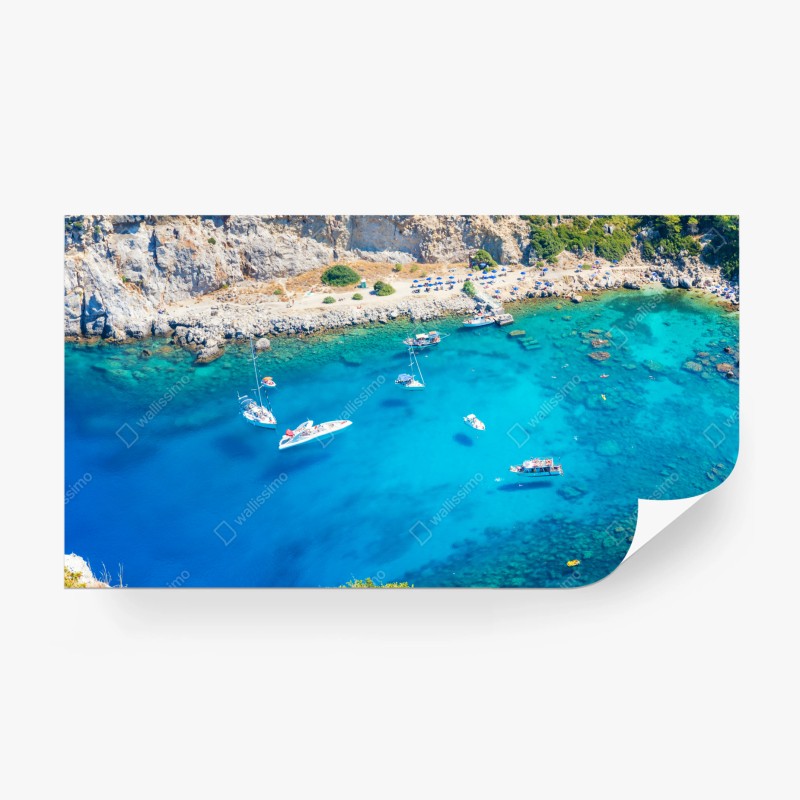 Fototapete lebendiger blauer iris-bund – Wallnifity®