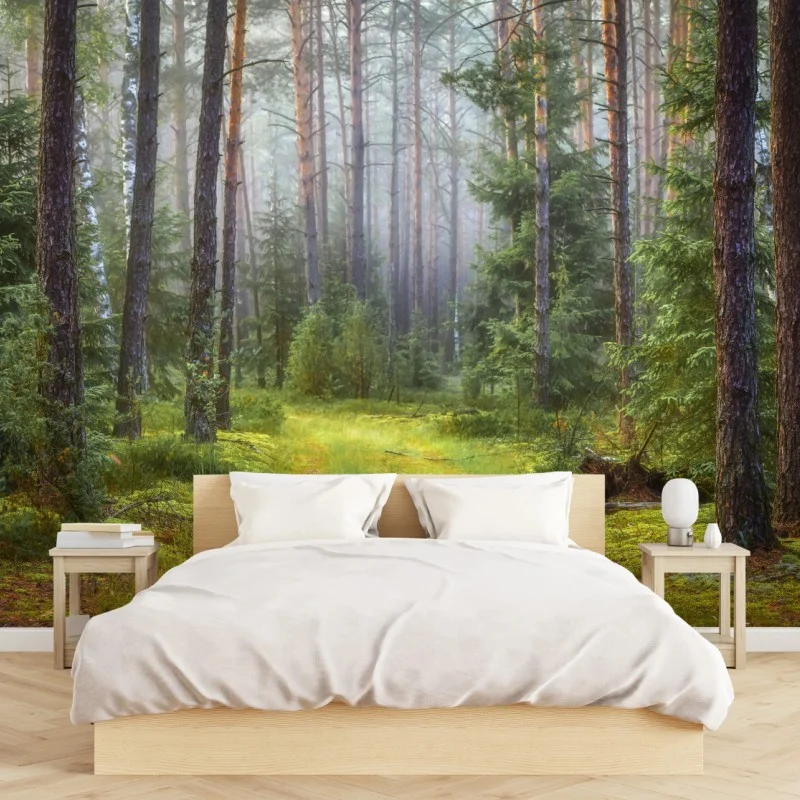 Fototapete nebliger kiefernwald mit pfad