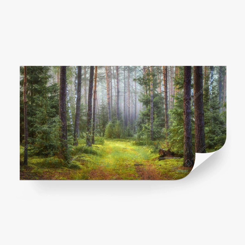 Fototapete nahtloses muster mit rock-symbolen – Wallnifity®