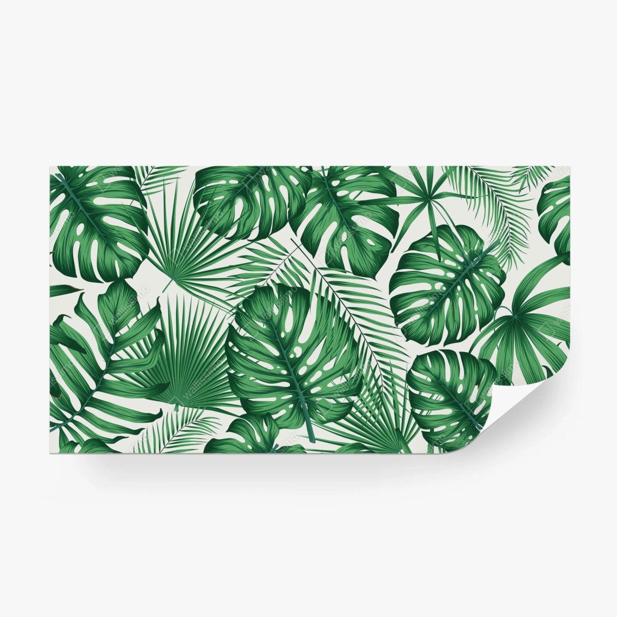 Fototapete tropisches monstera- und palmblättermuster – Wallnifity®