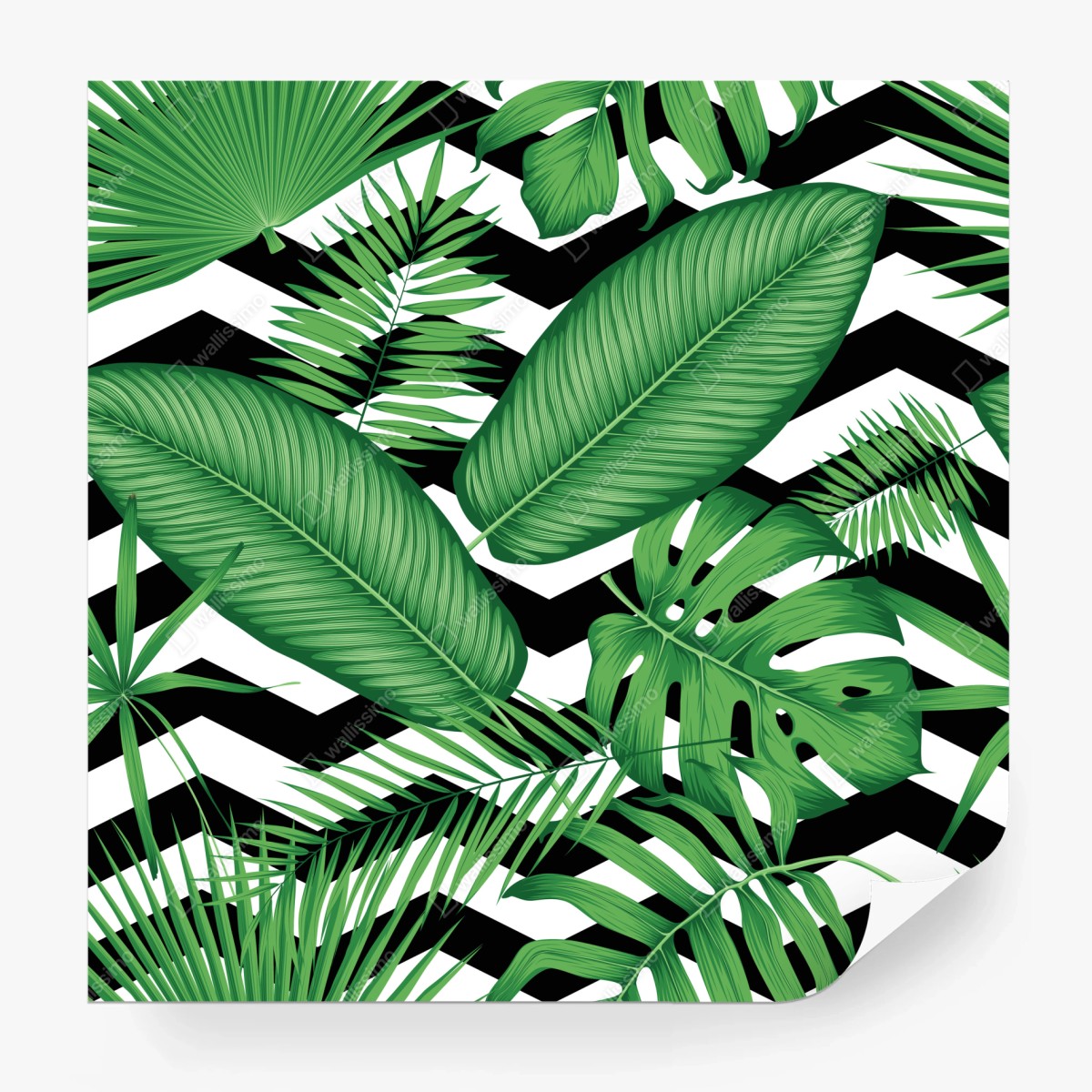 Fototapete tropisches blättermuster auf zickzack-hintergrund – Wallnifity®