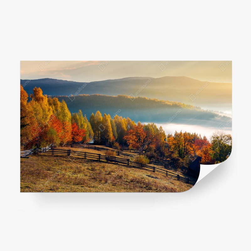 Fototapete neblige herbstbrücke mit schwan – Wallnifity®