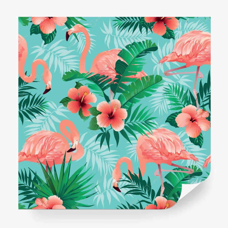 Fototapete tropischer türkisstrand – Wallnifity®