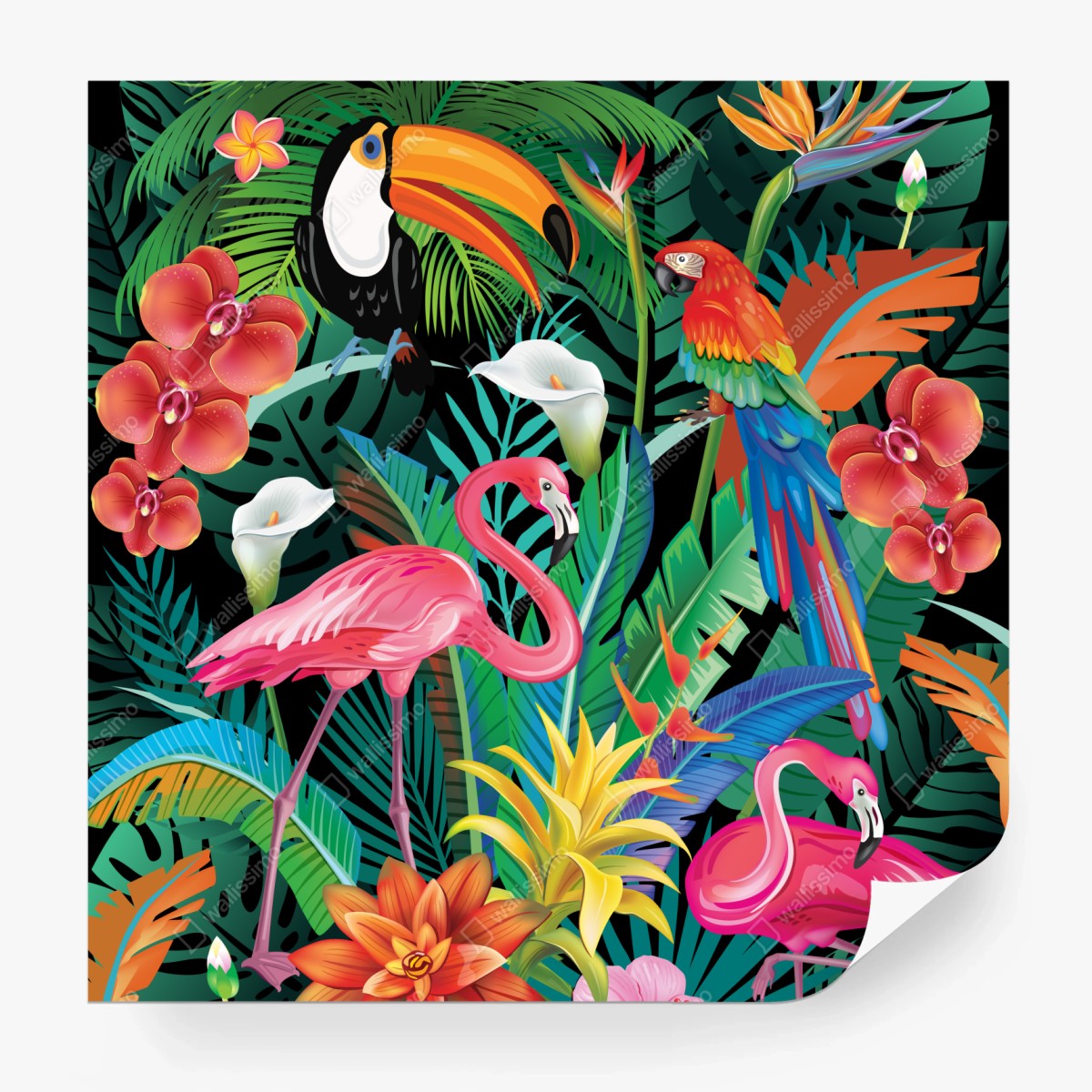 Fototapete leuchtende tropische vögel und blumen – Wallnifity®