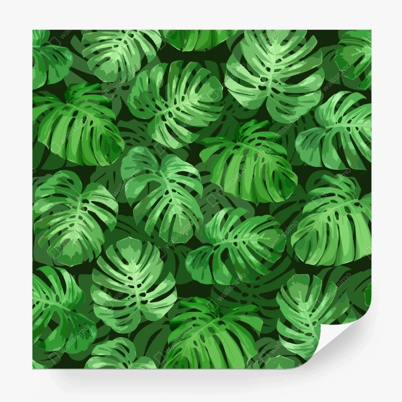 Fototapete tropisches monstera-blattmuster – Wallnifity® Fototapete tropisches monstera-blattmuster – Wallnifity®