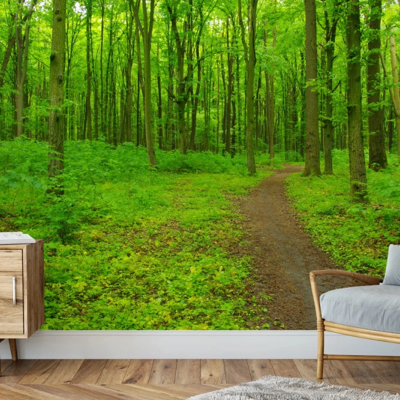 Fototapete beruhigender grüner waldweg – Wallnifity®