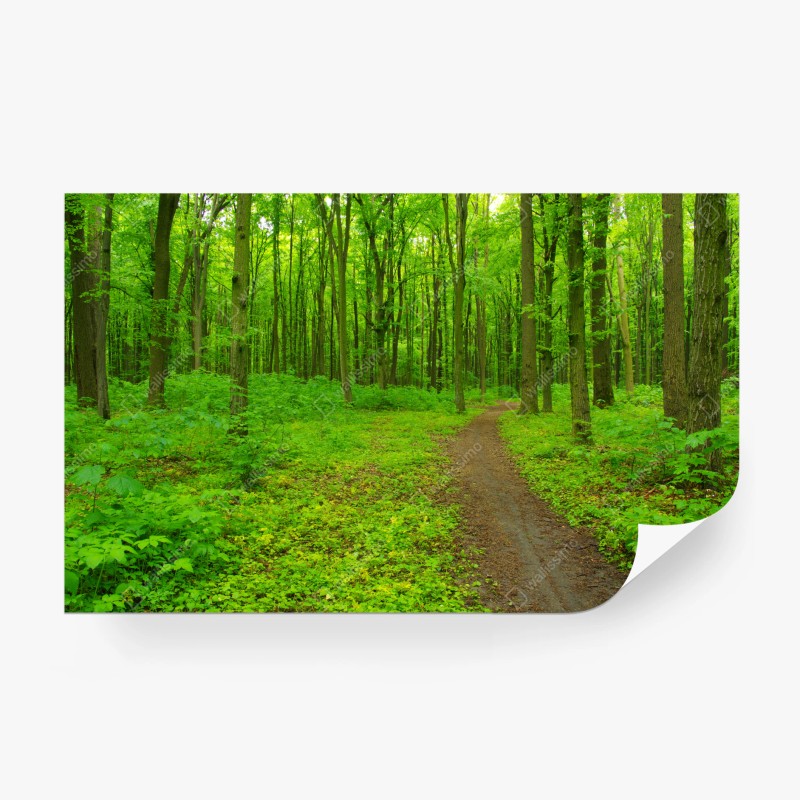 Fototapete dramatische schwarzweiß-welle des ozeans – Wallnifity®