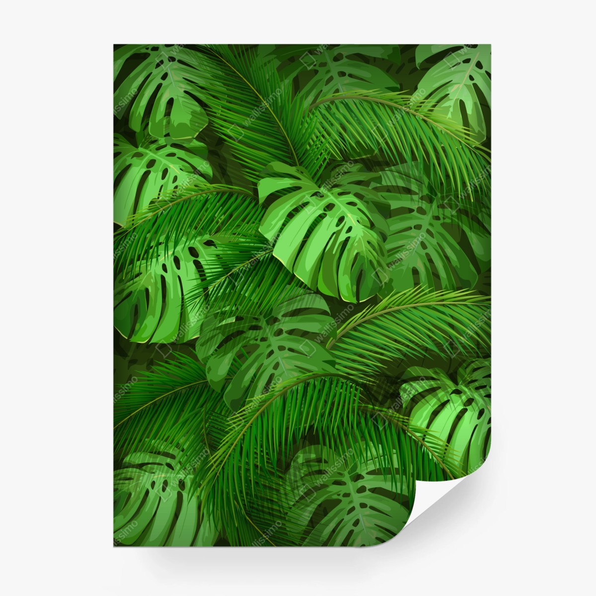 Fototapete üppige tropische monstera- und palmenblätter – Wallnifity®