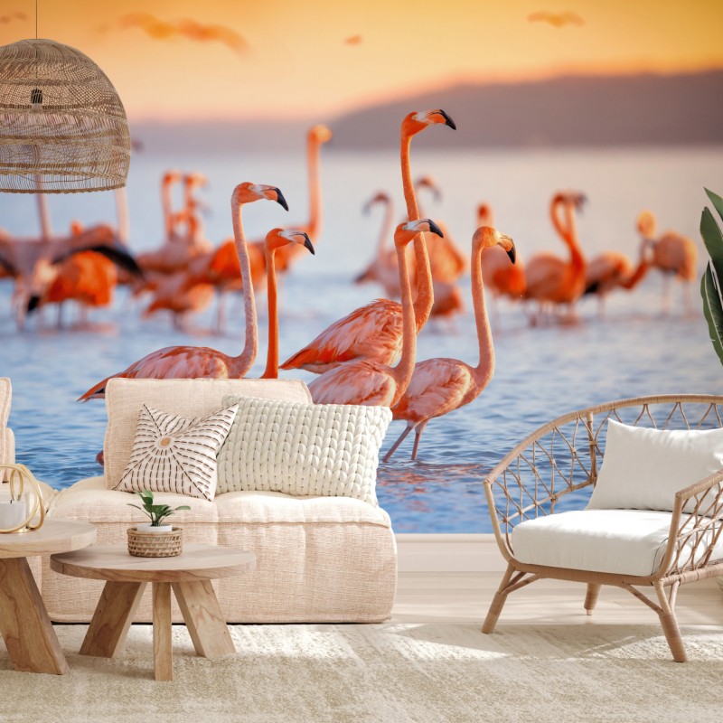 Fototapete rosa flamingos bei sonnenuntergang – Wallnifity®