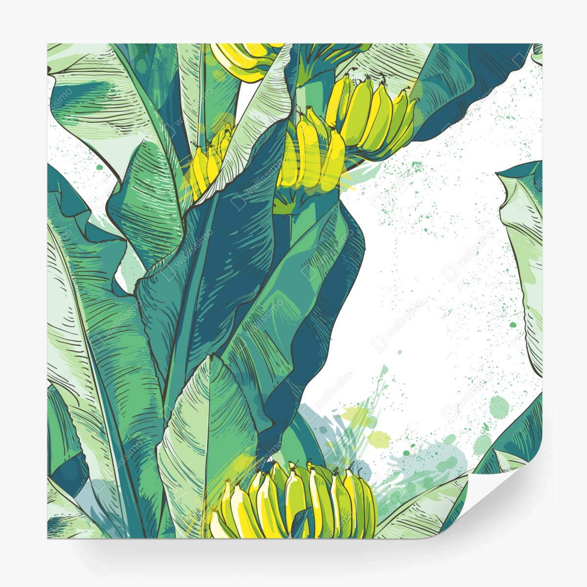 Fototapete tropische bananenblatt-illustration – Wallnifity®