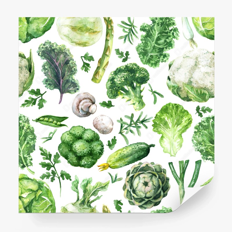 Fototapete sonnige grüne lichtung im wald – Wallnifity®