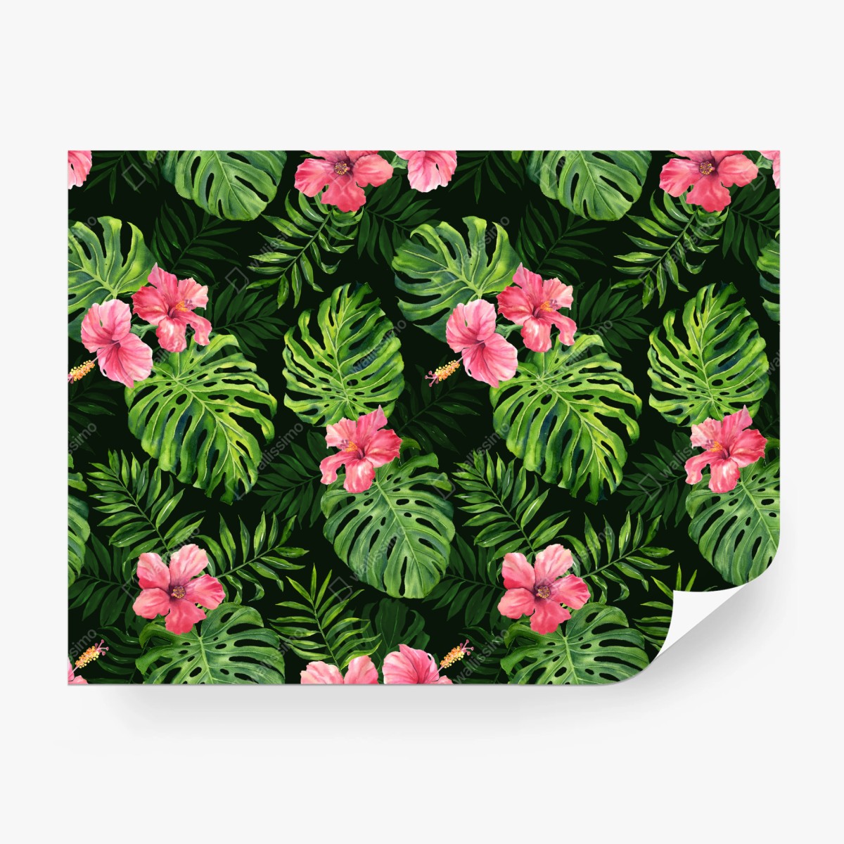 Fototapete tropisches monstera- und hibiskus-motiv – Wallnifity®