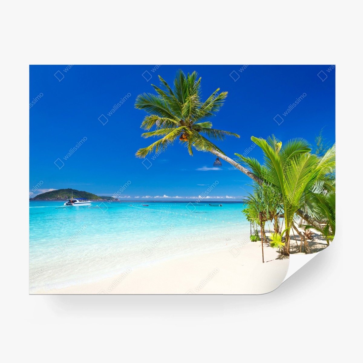 Fototapete tropischer strand in Thailand – Wallnifity®