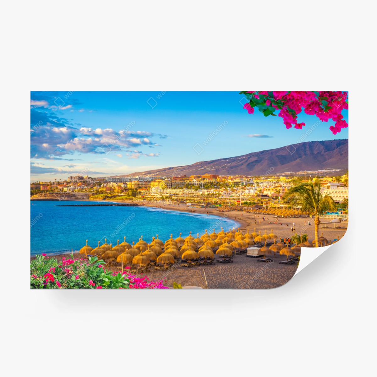 Fototapete sonniger strand Torviscas, Teneriffa – Wallnifity®