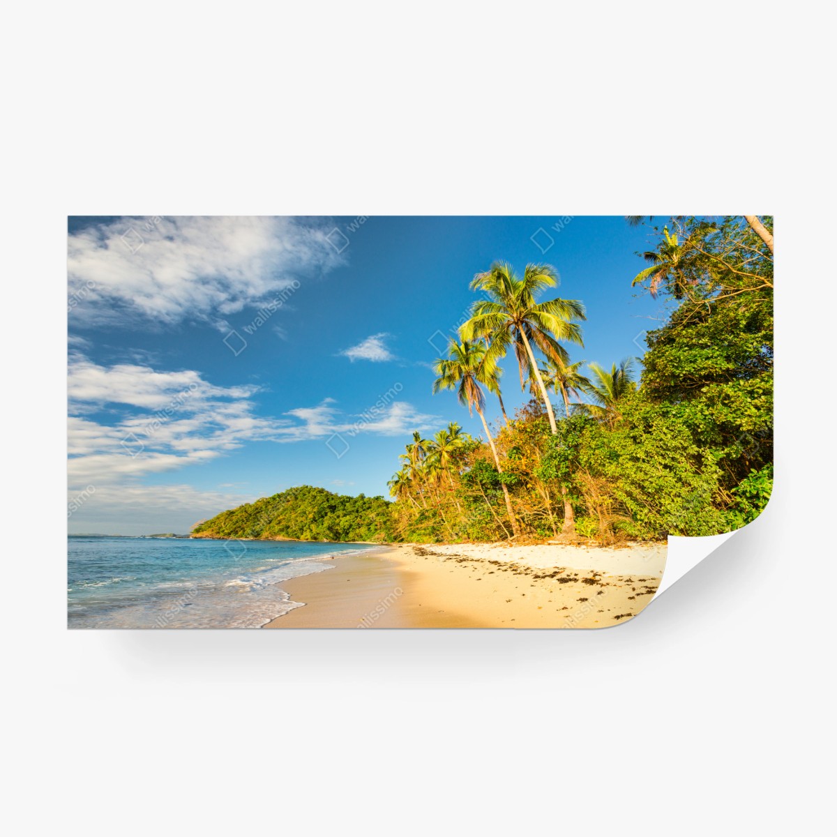 Fototapete goldener tropischer strand bei sonnenuntergang – Wallnifity®