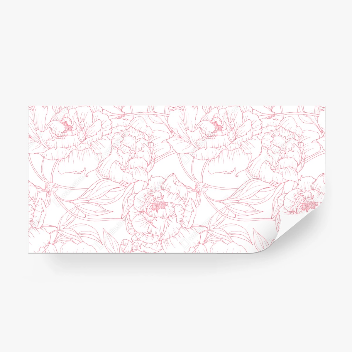 Fototapete zartes rosa paeonien-line-art-muster – Wallnifity®