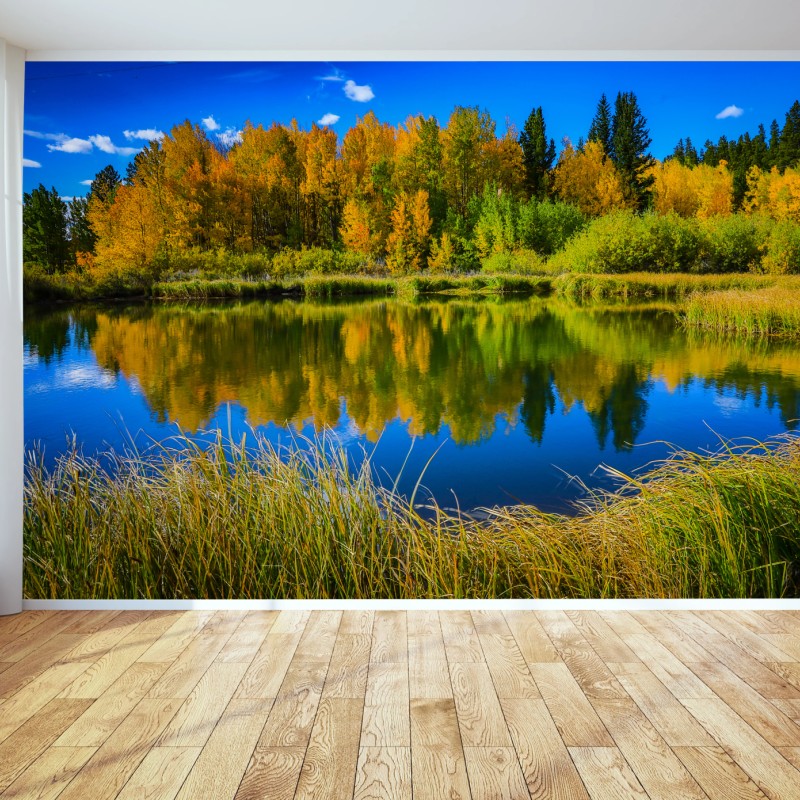 Fototapete herbstbäume spiegeln sich in einem ruhigen see – Wallnifity®