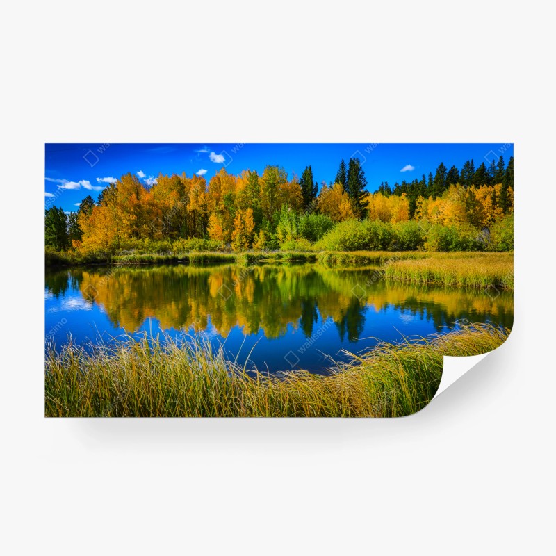 Fototapete straße zur beleuchteten stadtsilhouette bei nacht – Wallnifity®