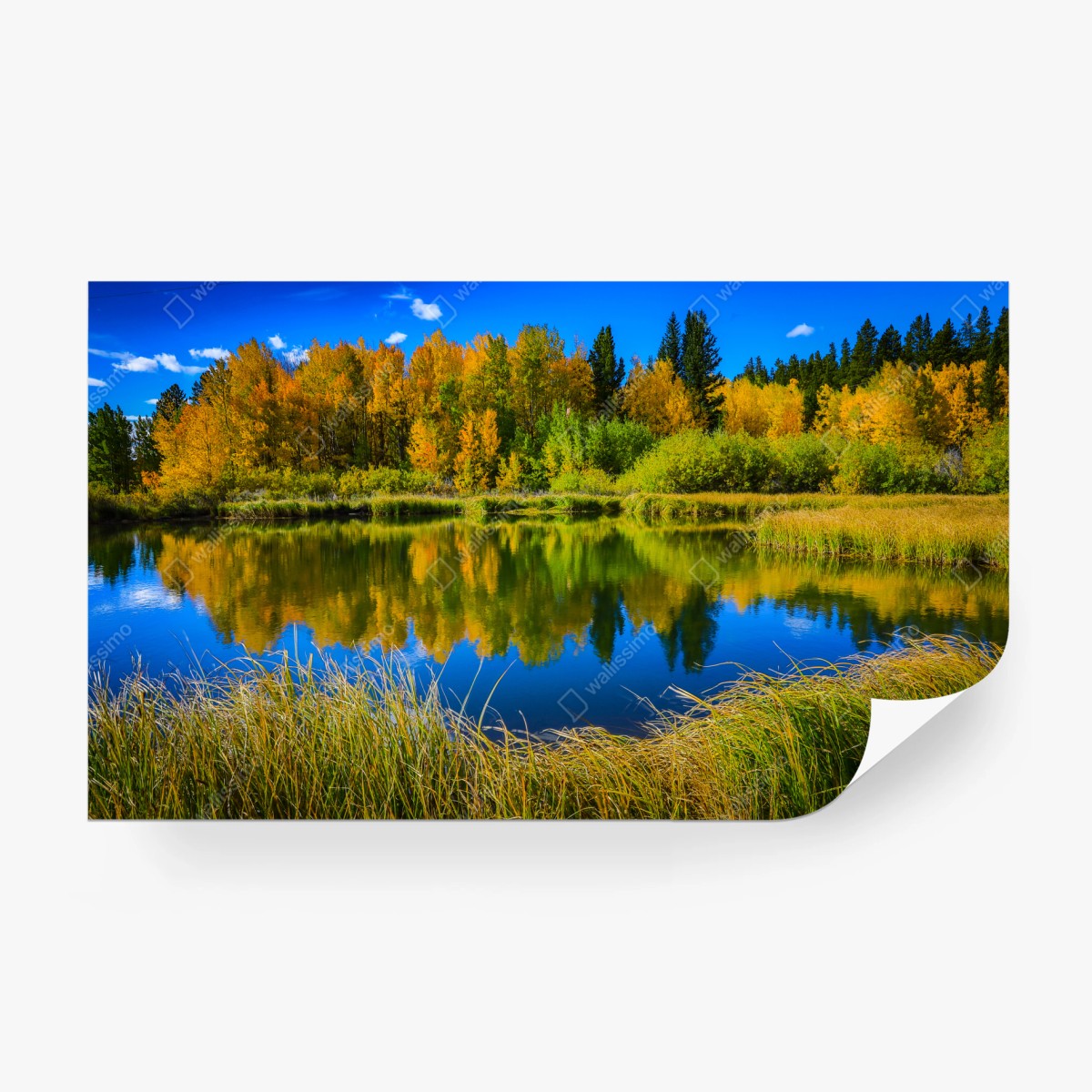 Fototapete herbstbäume spiegeln sich in einem ruhigen see – Wallnifity®