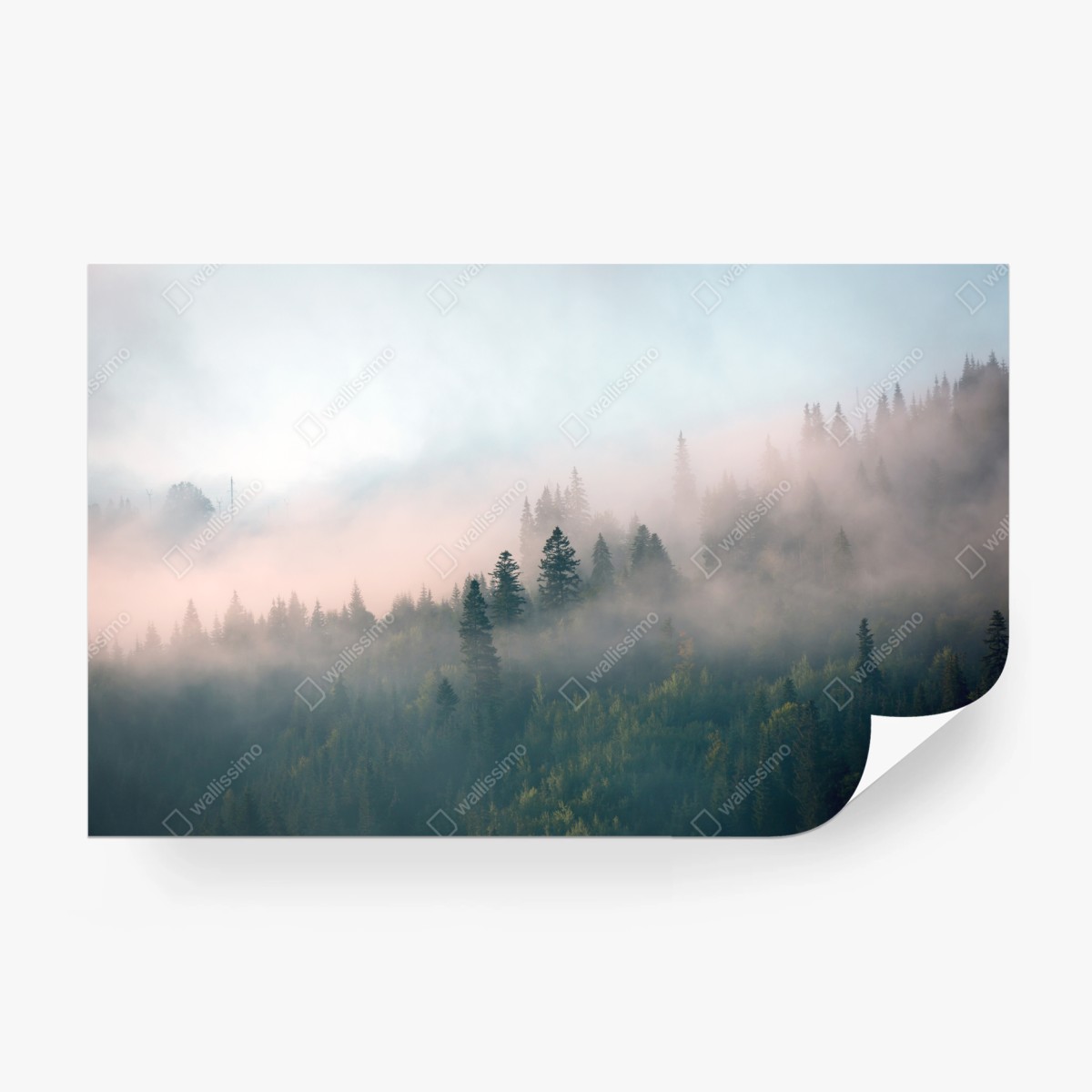 Fototapete nebliger morgenwald – Wallnifity®
