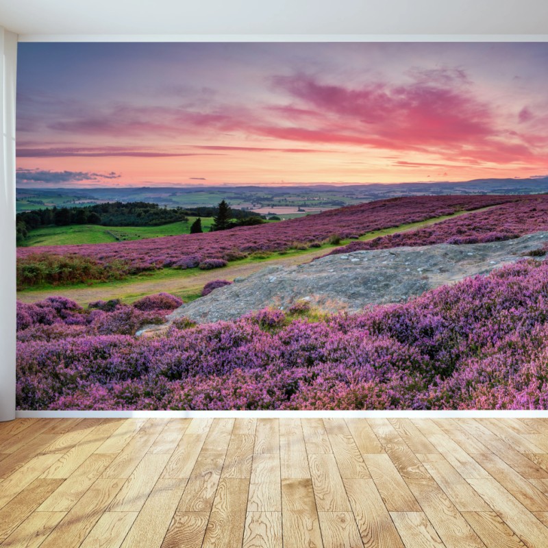 Fototapete violette heideflächen bei sonnenuntergang – Wallnifity®